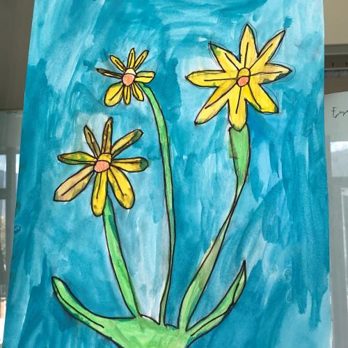 Blume