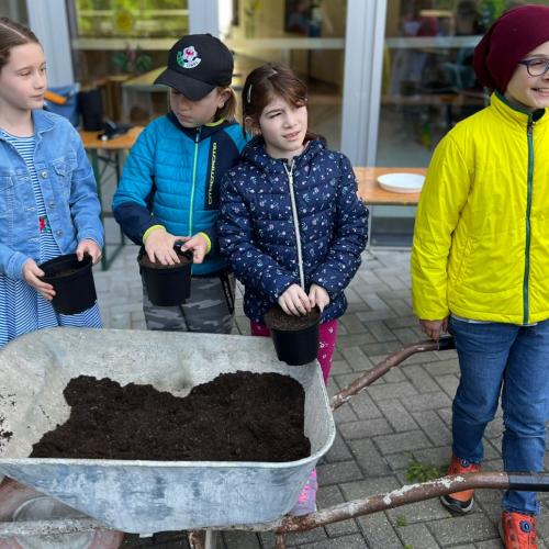 Vom Samen zur Pflanze - KÜRBISSE