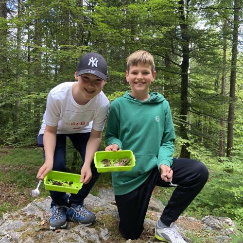 Naturpark Karwendel - 4. Klassen