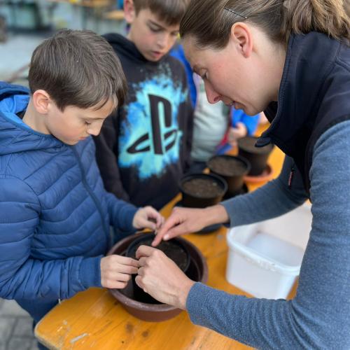 Vom Samen zur Pflanze - KÜRBISSE