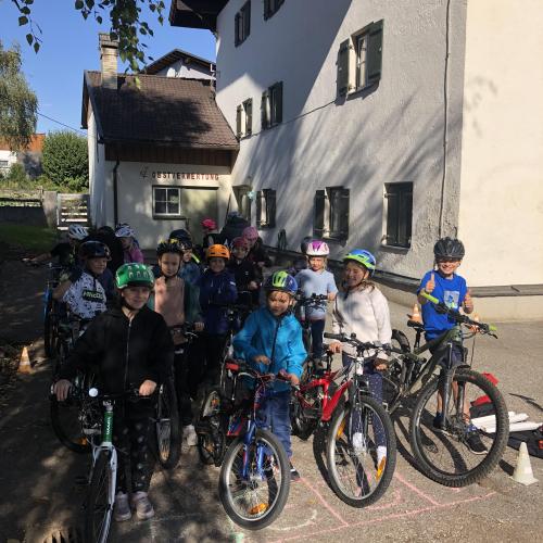 PRO Pedal 2024