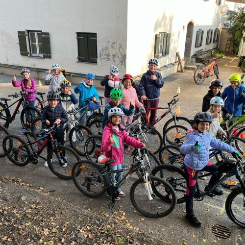 PRO Pedal 2024