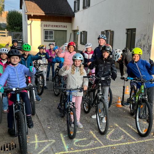 PRO Pedal 2024