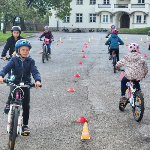 PRO Pedal 2024