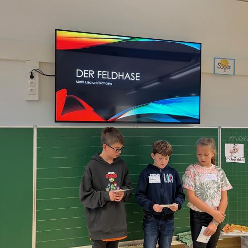 AK Workshop REFERAT