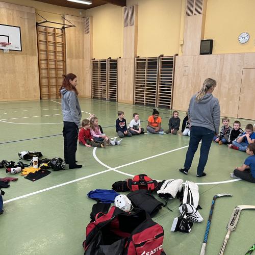 Eishockey Gunners Zirl