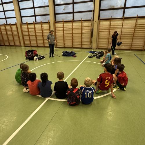Eishockey Gunners Zirl